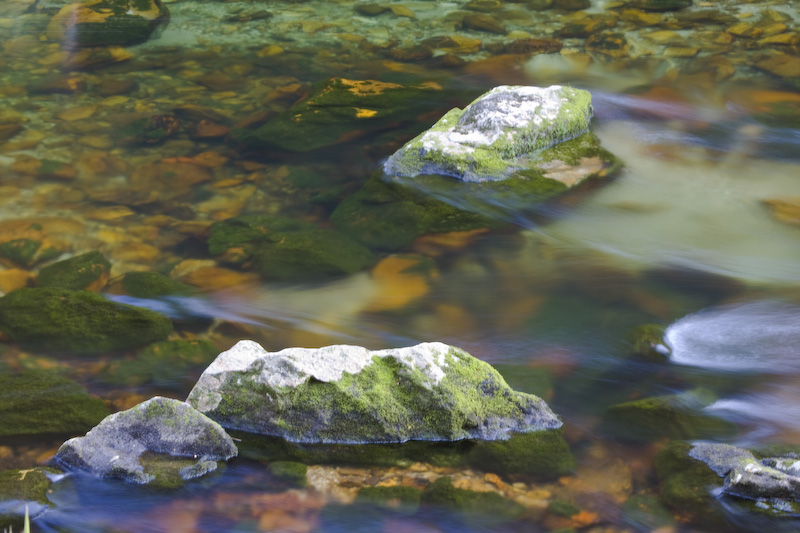 Rocks In Clinton River